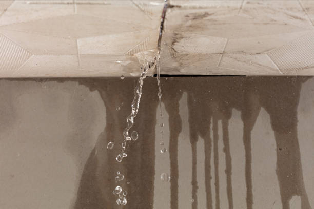 Professional Water Damage Repair technician working in Moonachie, NJ